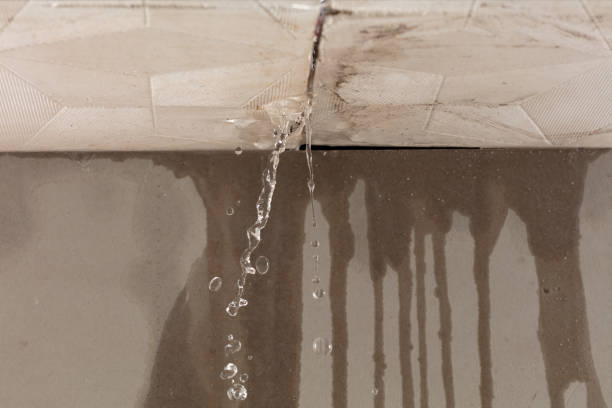 Professional Burst Pipe Cleanup technician working in Munford, TN